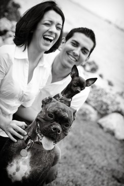 Portfolio | Engagements