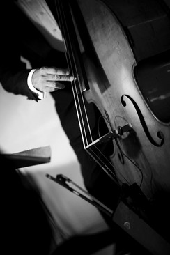 Portfolio | Weddings