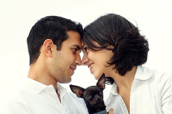 Portfolio | Engagements